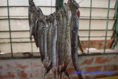 Hướng Dẫn Làm Khô Cá Kèo Vừa Ngon Vừa Sạch